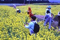 龍馬ハネムーンウォークin霧島